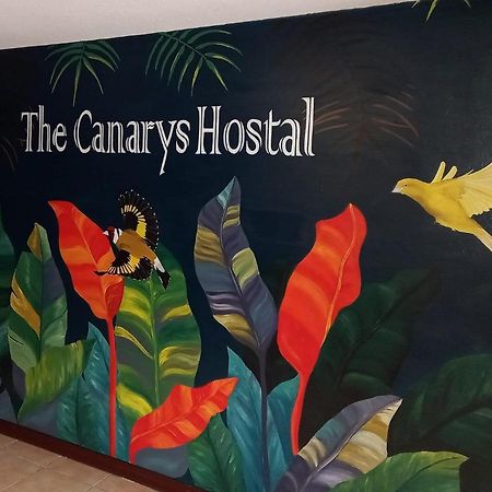 The Canarys Hostal Santa Rosa de Cabal Εξωτερικό φωτογραφία