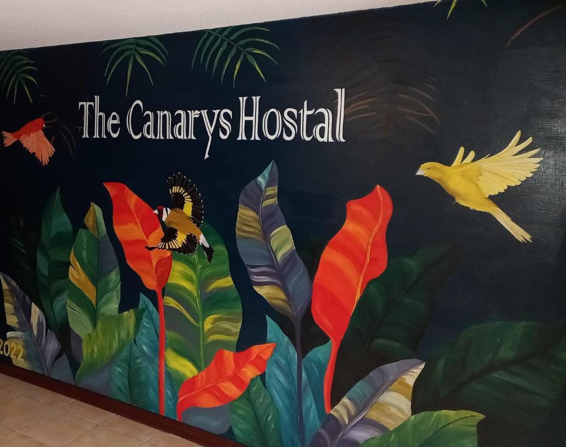 The Canarys Hostal Santa Rosa de Cabal Εξωτερικό φωτογραφία